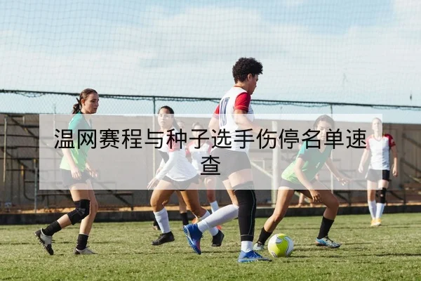 网球大满贯当日赛程与实时比分查询